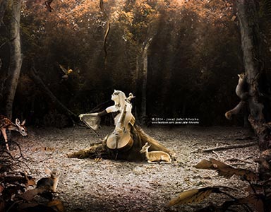 portfolio image template