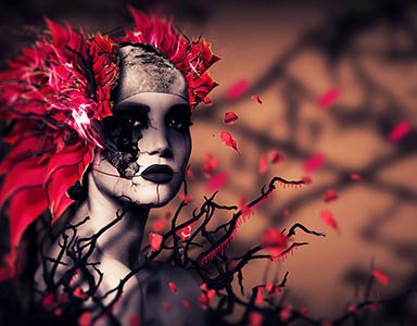 portfolio image template