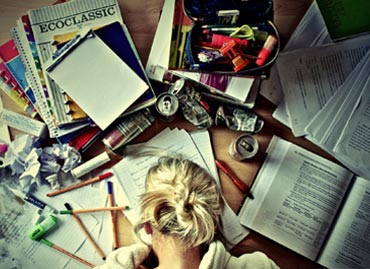 Portfolio picture template