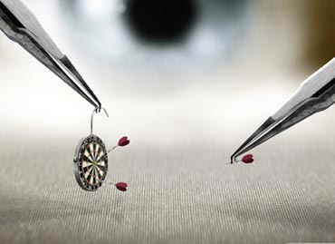 Portfolio picture template