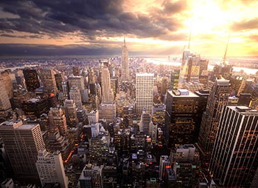 Portfolio picture template