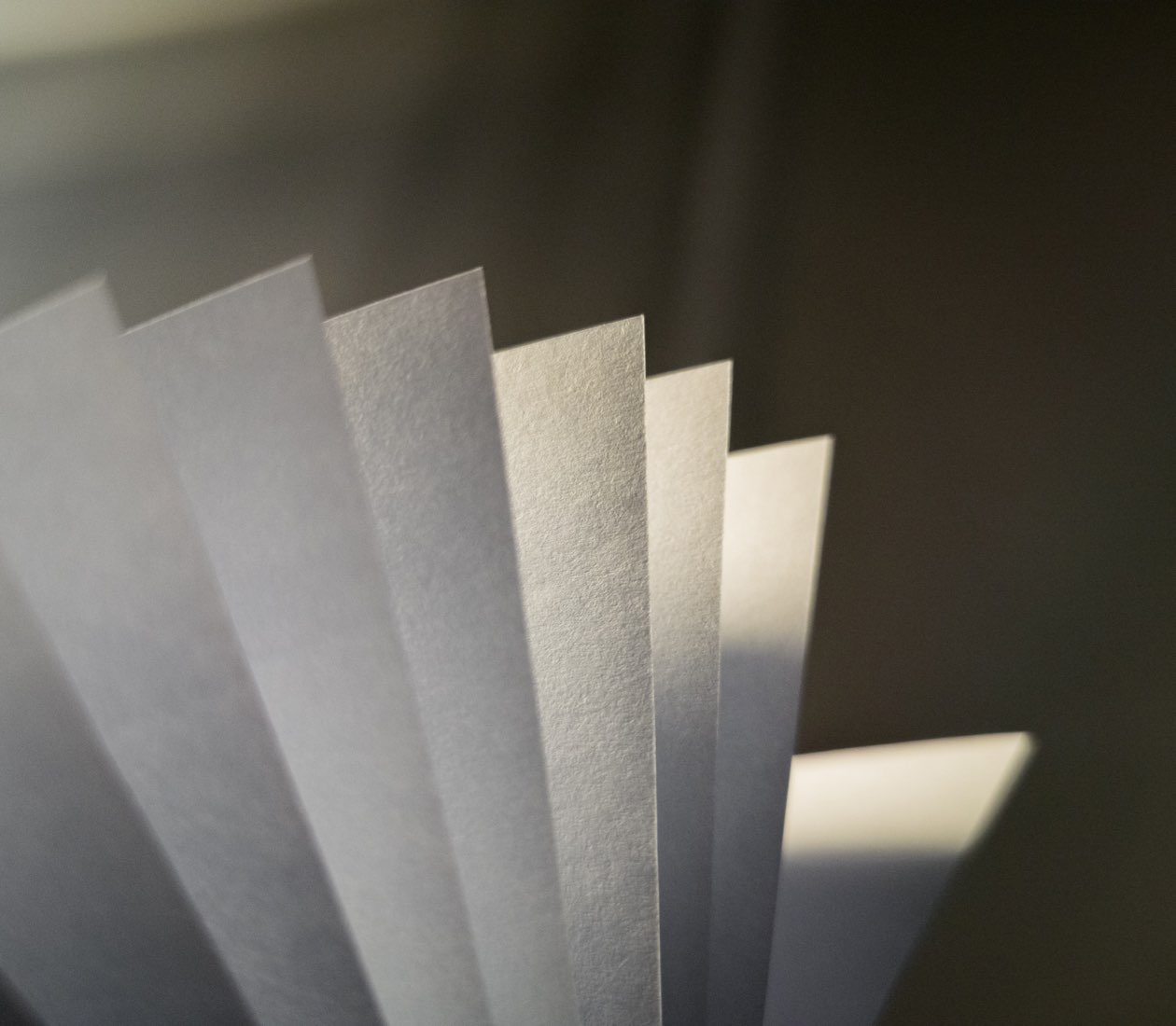 portfolio image template