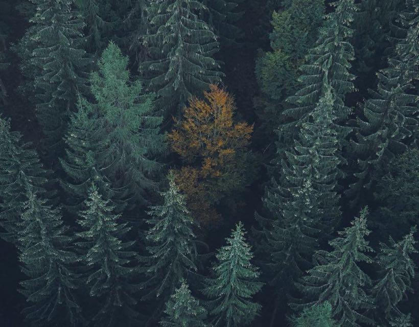 slick slider template