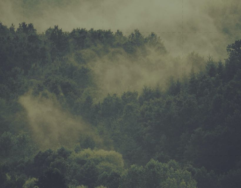 slick slider template