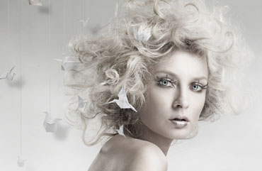 portfolio image template