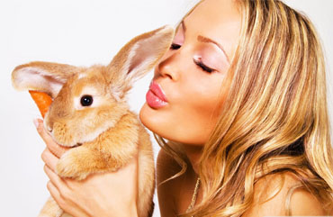 portfolio image template