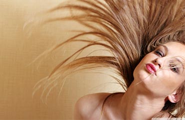 portfolio image template