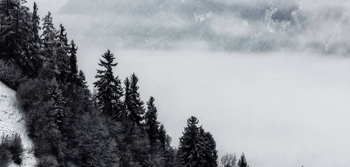 example project image