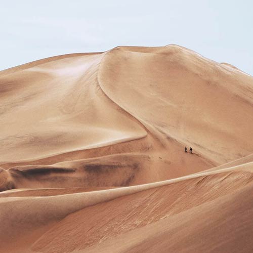 portfolio item image